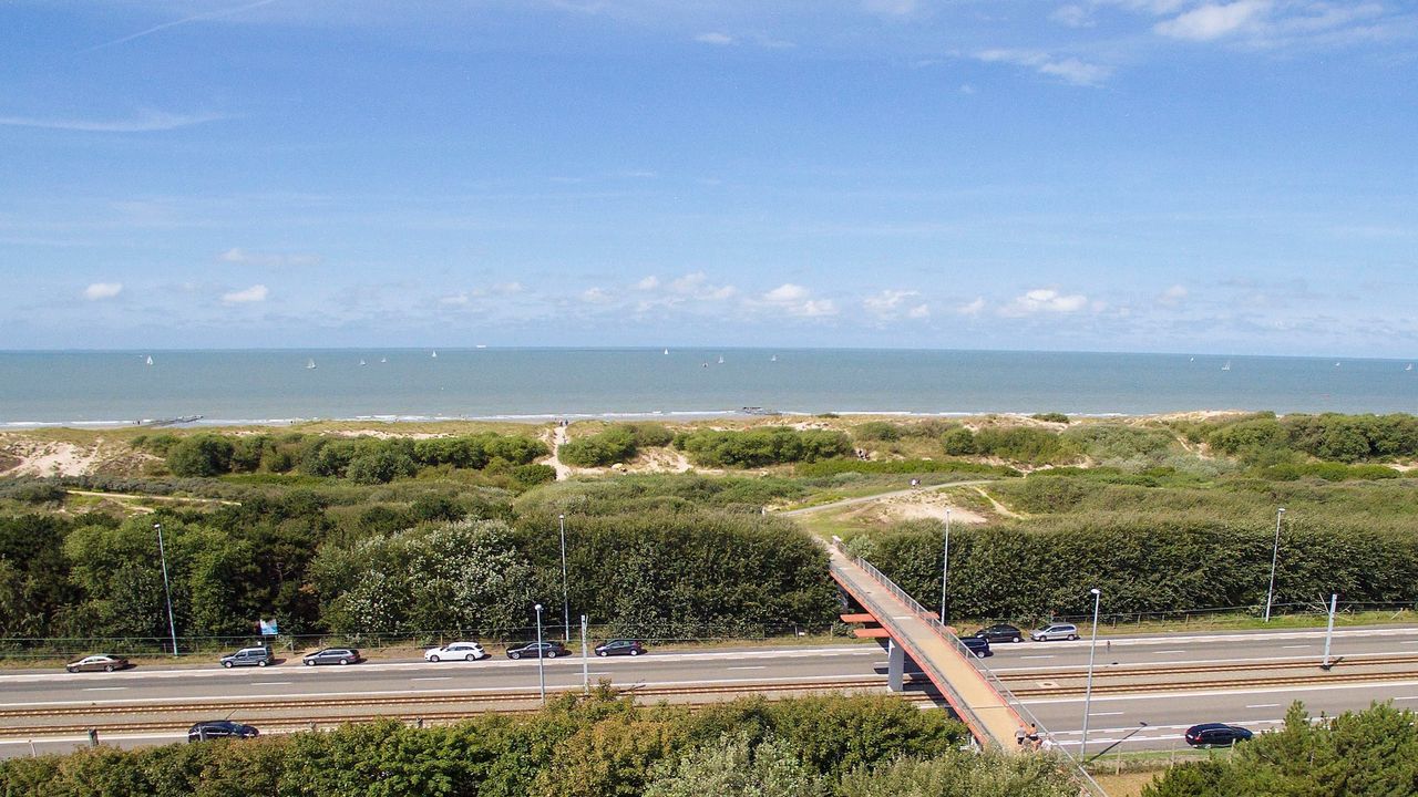 AreaSummer1KM AreaSummer1KM